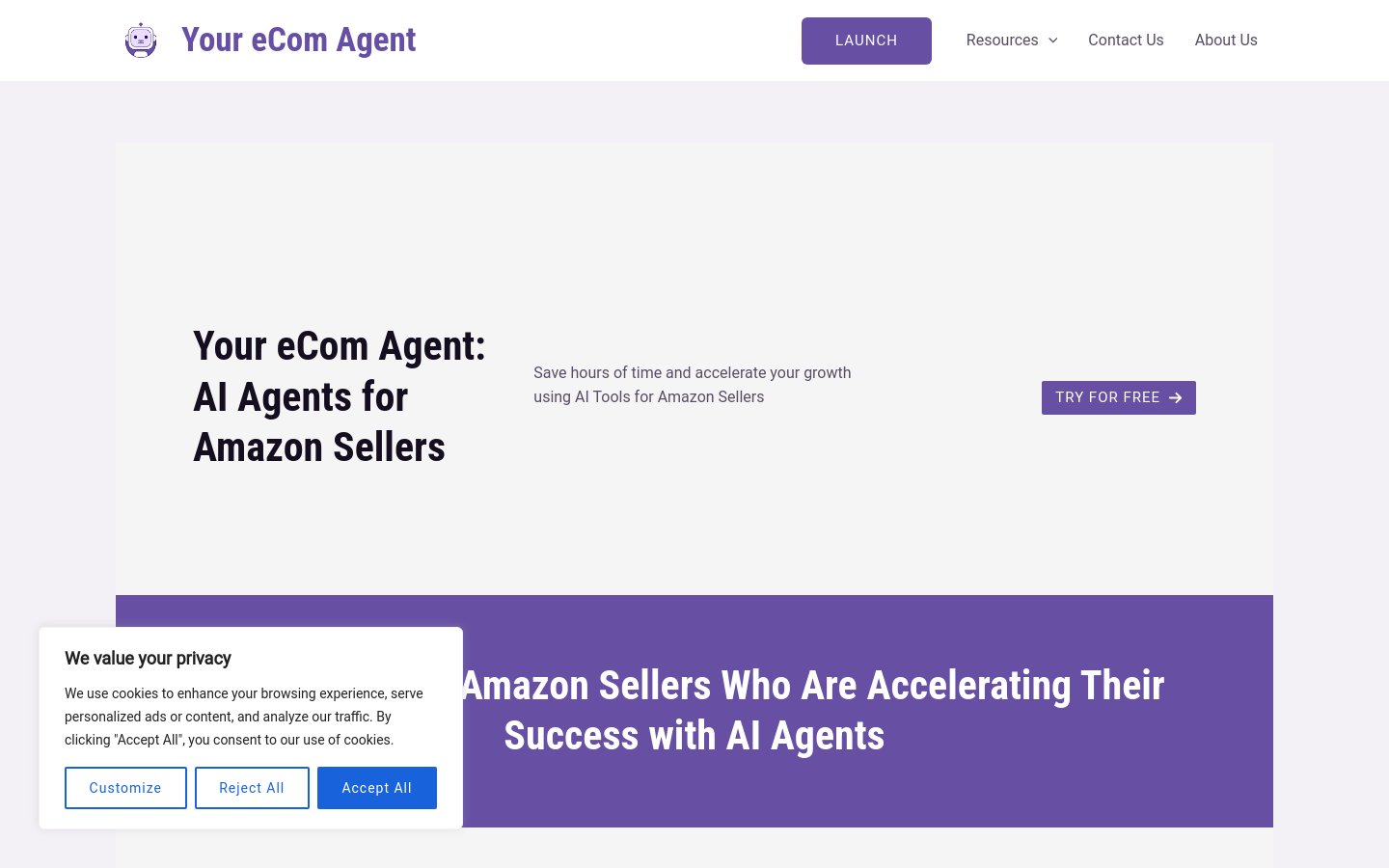 Your eCom Agent